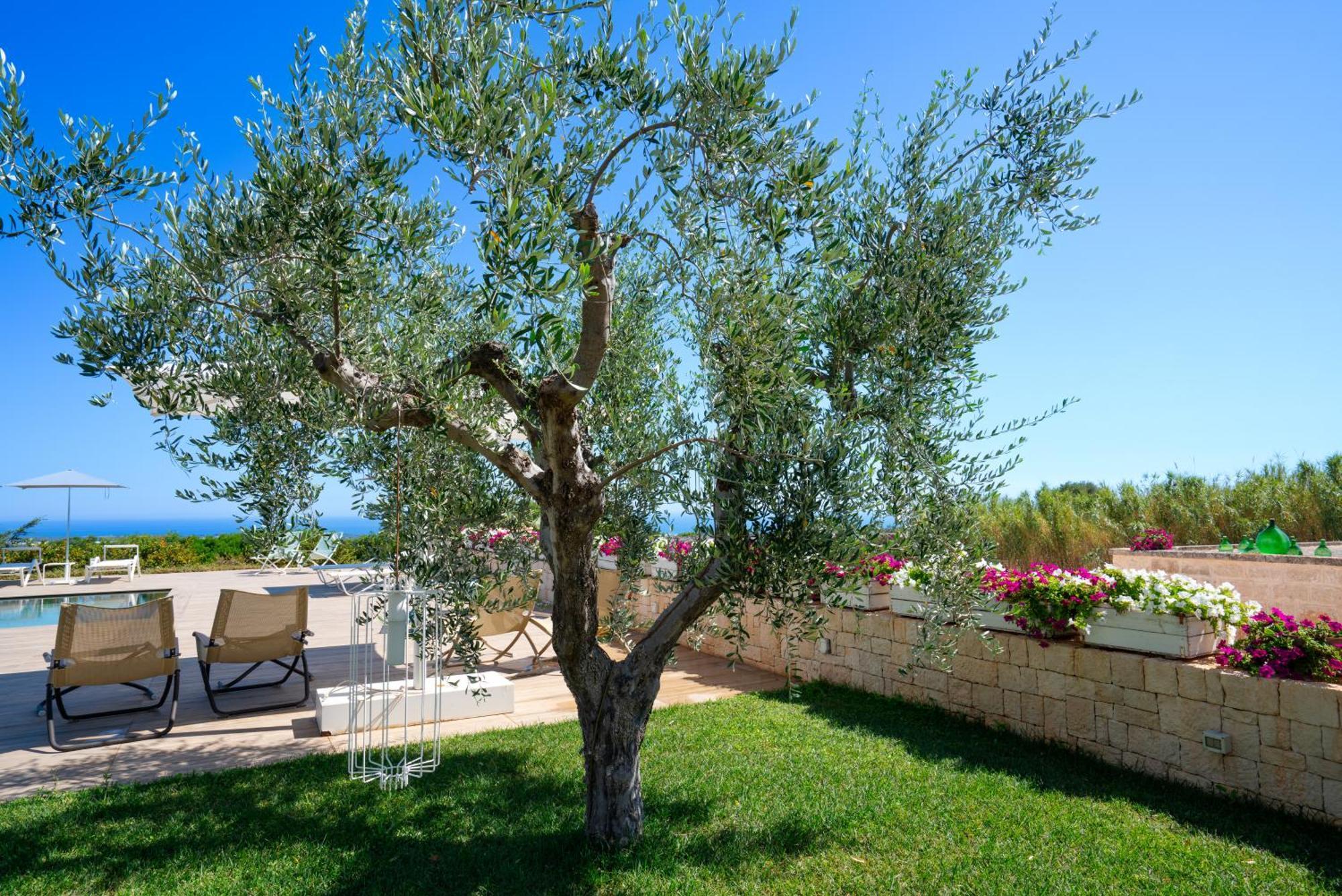 بولينيانو آ ماري Montegrottone Nature Retreat المظهر الخارجي الصورة